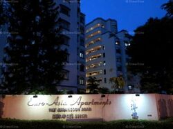 Euro-Asia Park (D13), Condominium #505119351